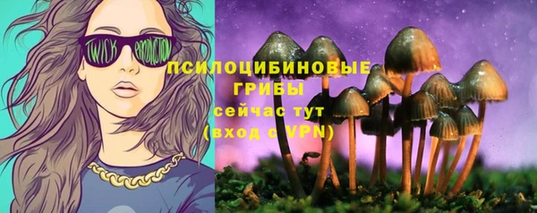 метамфетамин Каменка