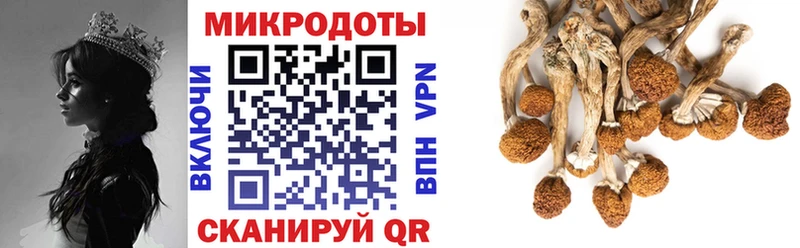 Купить где  Сафоново  Псилоцибиновые грибы MAGIC MUSHROOMS 